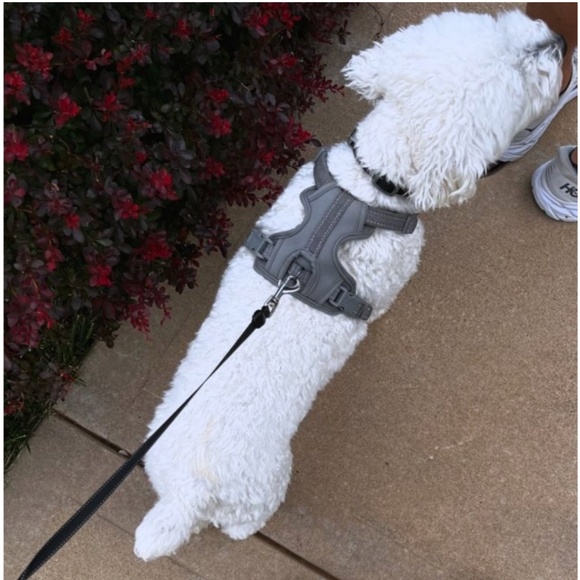 Reflective Comfort Dog Harness 🐶🦮🦴🐾 - Picture 6 of 6
